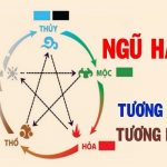 Cây trồng trong bếp khử mủi hiệu quả thanh lọc không khí